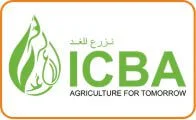 icba-organizational-hr-consultancy